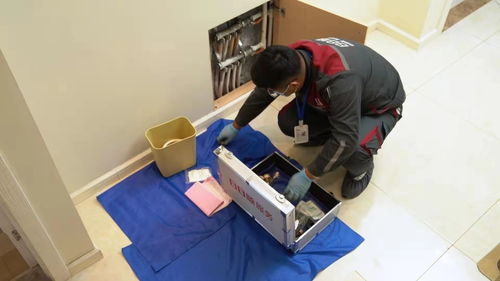 日日順以定制化場景方案賦能用戶體驗(yàn),讓健康品質(zhì)生活成為冬日主旋律