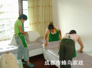 雙流保潔公司 專業清洗油煙機，守護廚房健康環境