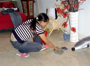 專業清潔服務，打造潔凈舒適的家居環境