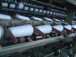 蒼南縣望里鎮(zhèn)海島清潔用品廠 專業(yè)清潔服務(wù)，守護(hù)環(huán)境之美